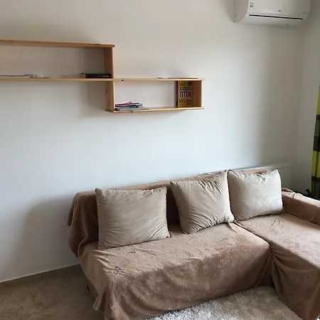 Catfish Sunshine Apartment *